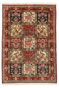 103X150 絨毯 オリエンタル バクティアリ Collectible 茶色/ベージュ (ウール, ペルシャ/イラン) Carpetvista