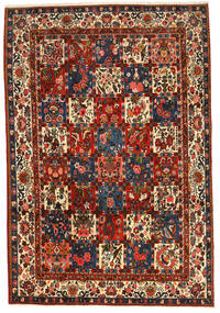 Bakhtiari Collectible Rug 214X314 Brown/Beige Wool, Persia/Iran Carpetvista