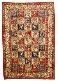 Bakhtiari Collectible Rug 216X316 Brown/Beige Wool, Persia/Iran Carpetvista