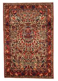 208X311 Tapete Bakhtiari Collectible Oriental Castanho/Vermelho Escuro (Lã, Pérsia/Irão) Carpetvista