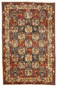 絨毯 ペルシャ バクティアリ Collectible 208X320 茶色/ベージュ (ウール, ペルシャ/イラン)