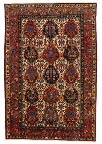 206X302 絨毯 バクティアリ Collectible オリエンタル 茶色/ベージュ (ウール, ペルシャ/イラン) Carpetvista
