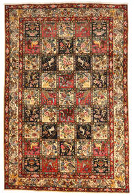 絨毯 ペルシャ バクティアリ Collectible 208X317 茶色/ベージュ (ウール, ペルシャ/イラン)