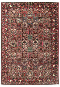 絨毯 バクティアリ 255X365 レッド/茶色 大きな (ウール, ペルシャ/イラン)