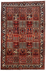 絨毯 バクティアリ 207X315 ダークレッド/レッド (ウール, ペルシャ/イラン)