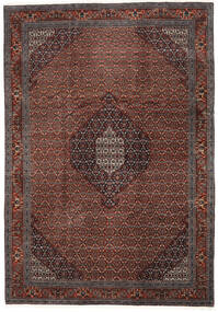 246X352 Ardebil Fine Rug Oriental Brown/Dark Red (Wool, Persia/Iran) Carpetvista