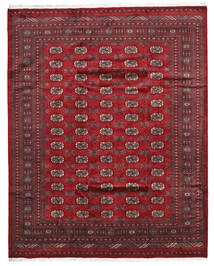  パキスタン ブハラ 3Ply 絨毯 202X253 ウール 赤/深紅色の 