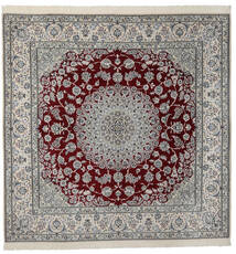 絨毯 ナイン Fine 9La 251X252 正方形 ダークグレー/ブラック 大きな (ウール, ペルシャ/イラン)