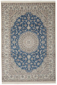 248X358 絨毯 オリエンタル ナイン Fine 9La 茶色/ブラック (ウール, ペルシャ/イラン) Carpetvista