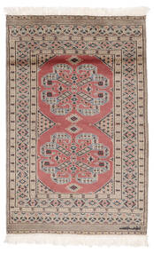 79X124 絨毯 オリエンタル パキスタン ブハラ 2Ply 茶色/ダークグレー (ウール, パキスタン) Carpetvista