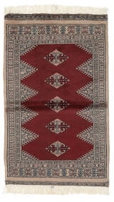 73X123 絨毯 パキスタン ブハラ 3Ply オリエンタル 茶色/ブラック (ウール, パキスタン) Carpetvista