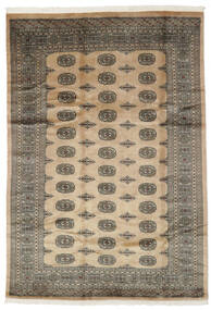 絨毯 オリエンタル パキスタン ブハラ 3Ply 171X245 茶色/オレンジ (ウール, パキスタン)