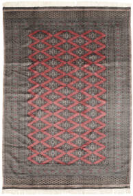 絨毯 オリエンタル パキスタン ブハラ 3Ply 186X257 茶色/ダークレッド (ウール, パキスタン)