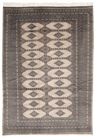 絨毯 パキスタン ブハラ 2Ply 184X262 茶色/ブラック (ウール, パキスタン)