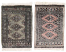 61X88 絨毯 オリエンタル パキスタン ブハラ 3Ply 茶色/ブラック (ウール, パキスタン) Carpetvista