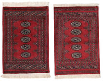63X95 絨毯 パキスタン ブハラ 2Ply オリエンタル ダークレッド/ブラック (ウール, パキスタン) Carpetvista