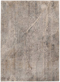 Nemo 300X400 Large Beige Rug