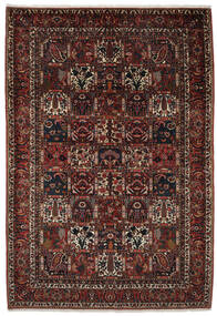 211X306 Tapete Oriental Bakhtiari Collectible Preto/Vermelho Escuro (Lã, Pérsia/Irão) Carpetvista
