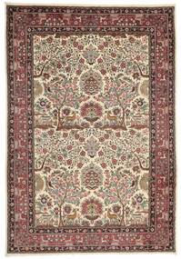 205X301 Sarouk Fine Rug Oriental Brown/Beige (Wool, Persia/Iran)