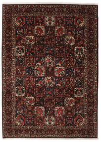 絨毯 バクティアリ 255X352 ブラック/ダークレッド 大きな (ウール, ペルシャ/イラン)