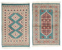 62X91 Pakistan Bokhara 2Ply Rug Oriental Brown/Beige (Wool, Pakistan) Carpetvista