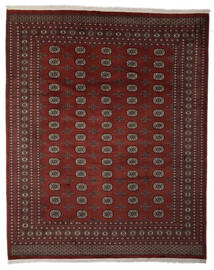 Orientalischer Pakistan Buchara 2Ply Teppich 253X311 Schwarz/Dunkelrot Großer Wolle, Pakistan Carpetvista