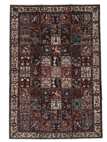 絨毯 バクティアリ 210X310 ブラック/茶色 (ウール, ペルシャ/イラン)