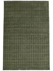 Eve 250X350 Large Forest Green Wool Rug