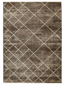  Washable 200X300 Riad Brown Rug