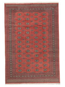  Pakistan Bokhara 2Ply Rug 244X359 Wool Dark Red/Brown Large Carpetvista