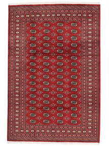 絨毯 オリエンタル パキスタン ブハラ 2Ply 205X304 ダークレッド/ブラック (ウール, パキスタン)