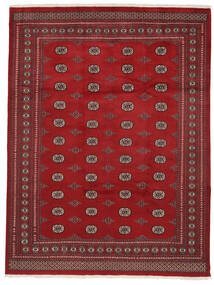 絨毯 パキスタン ブハラ 2Ply 247X326 ダークレッド/ブラック (ウール, パキスタン)