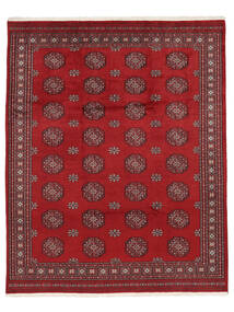 絨毯 パキスタン ブハラ 3Ply 250X307 ダークレッド/ブラック 大きな (ウール, パキスタン)