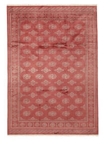 245X351 Pakistan Buchara 3Ply Teppich Orientalischer Dunkelrot/Rot (Wolle, Pakistan) Carpetvista