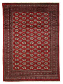絨毯 パキスタン ブハラ 3Ply 279X386 ダークレッド/ブラック 大きな (ウール, パキスタン)