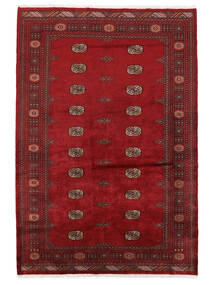  Oriental Pakistan Bokhara 3Ply Rug 169X252 Dark Red/Black Wool, Pakistan Carpetvista