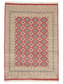 絨毯 オリエンタル パキスタン ブハラ 2Ply 182X268 茶色/オレンジ (ウール, パキスタン)