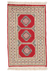 63X102 Medaillon Klein Pakistan Buchara 2Ply Teppich Wolle, Carpetvista