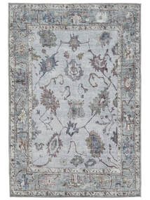 Kitchen Rug
 Gizani Oriental 200X300 Cotton Vintage Blue