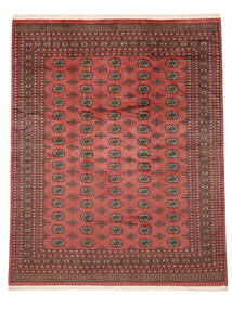 246X310 Tapete Paquistão Bucara 2Ply Oriental Vermelho Escuro/Vermelho (Lã, Paquistão) Carpetvista