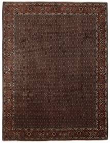  Oriental Bidjar Fine Rug 253X333 Black/Brown Large Wool, Persia/Iran