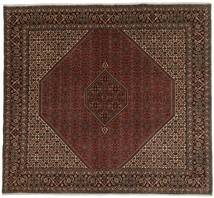  Oriental Bidjar Zandjan Rug 245X250 Square Black/Brown Wool, Persia/Iran