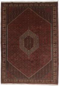 247X351 絨毯 オリエンタル ビジャー Zandjan ブラック/茶色 (ウール, ペルシャ/イラン)