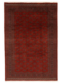 248X358 絨毯 パキスタン ブハラ 3Ply オリエンタル ブラック/ダークレッド (ウール, パキスタン) Carpetvista