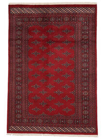 絨毯 オリエンタル パキスタン ブハラ 2Ply 166X243 ダークレッド/ブラック (ウール, パキスタン)