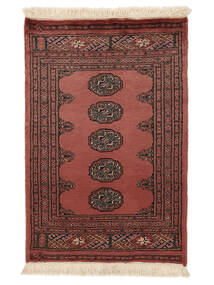  64X95 Medallón Pequeño Pakistan Bukara 2Ply Alfombra Lana, Carpetvista