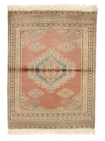  Orientalischer Pakistan Buchara 2Ply Teppich 63X85 Braun/Orange Wolle, Pakistan Carpetvista