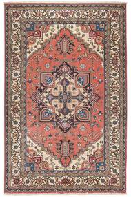 Tappeto Ardebil 169X257 Marrone/Beige (Lana, Persia/Iran)