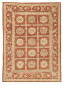  Ziegler Fine 269X364 Wollteppich Braun/Orange Groß Carpetvista