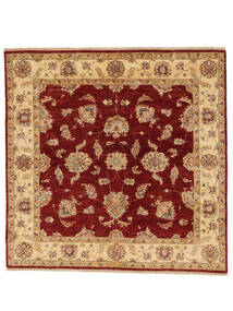  187X189 Medallion Ziegler Fine Tappeto Lana, Carpetvista